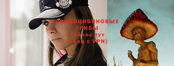 Альфа ПВП Вяземский