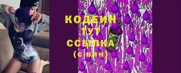 apvp Горнозаводск