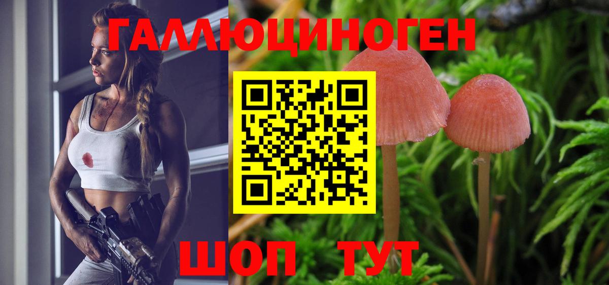 Можайск  Псилоцибиновые грибы мухоморы  Вход с VPN 